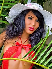Provocative t-girl poses nude in the jungles